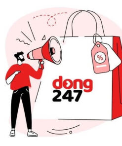 dong247-hotrotaichinhblog