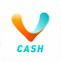 vay-vi-cash