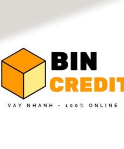 vay-bin-credit-1