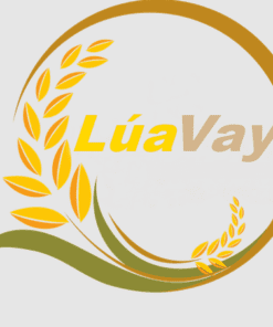 vay-lua-vay
