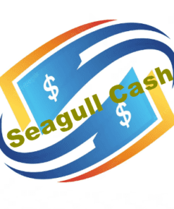 vay-seagull-cash