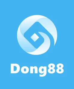 vay-app-dong88