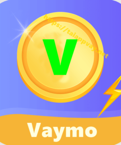 VayMo