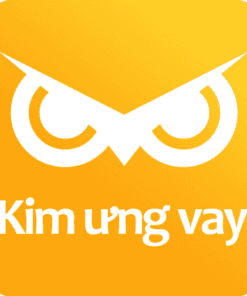 vay-kim-ung-vay