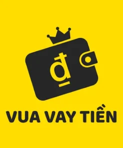 vay-app-vua-vay-tien-1